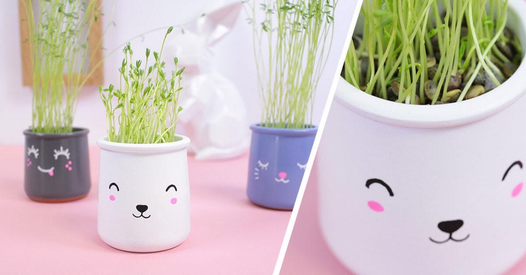 DIY Plant Pot