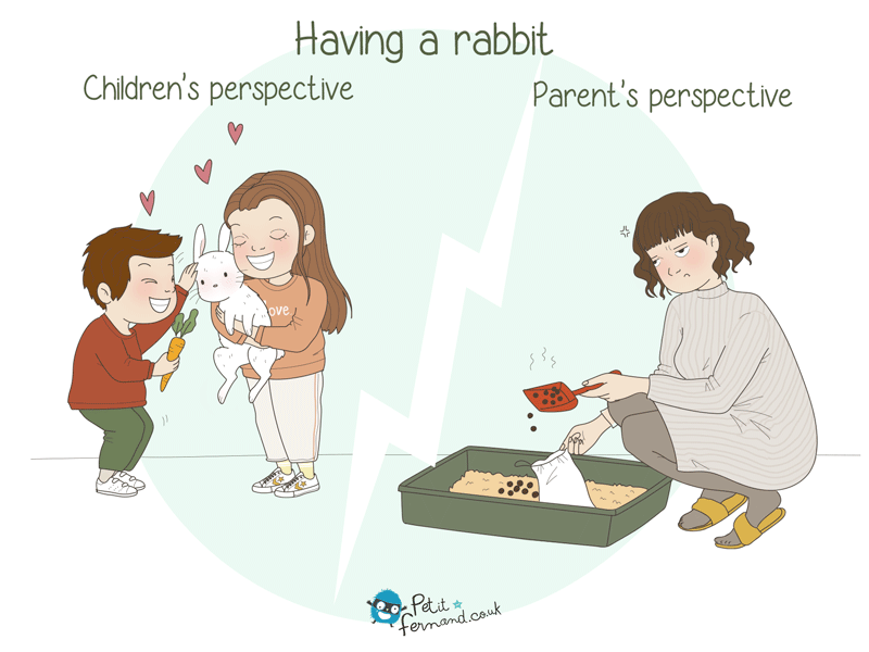 “Muuummmyy, daaadddyyy… Can we get a rabbit? Please, I promise I’ll take care of it!"